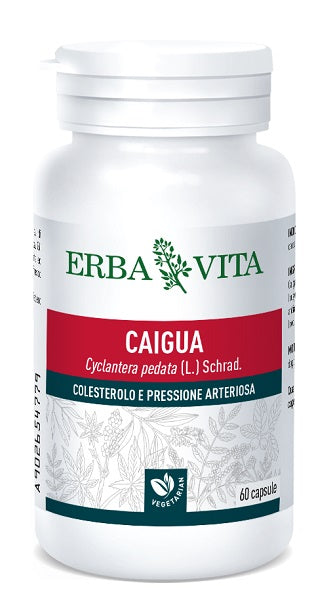 erba vita group caigua 60 capsule 400 mg erba vita ean 8056992941571