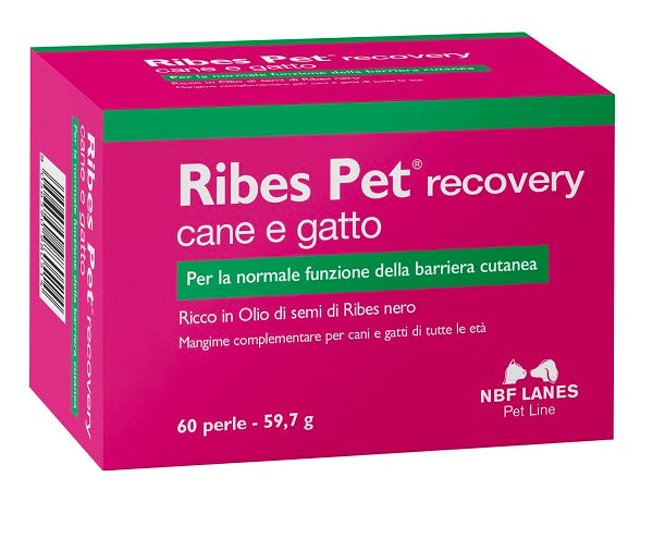 nbf lanes vet ribes pet recovery blister 60 perle n b f lanes ean 8056590980514