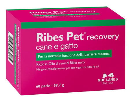 nbf lanes vet ribes pet recovery blister 60 perle n b f lanes ean 8056590980514