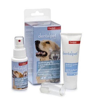 candioli veterinari dentalpet kit dentifricio 50mlspray orale 50ml1 ditale dentalpet ean 8025767001949