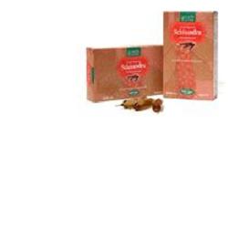 natura service srl schisandra 20 ampolle bevibili da 15 ml ligne de plantes ean 8053340920264