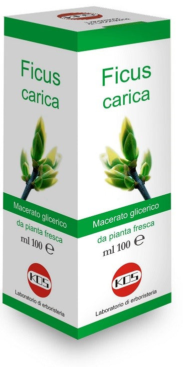 kos ficus carica macerato glicerico 100 ml
