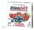 falqui ziguli vit fruttibosco 40 confetti ziguli ean 8002682551377