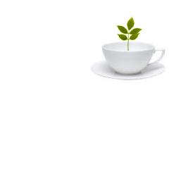 biosalus tisalax miscela di erbe 100 g taglio tisana