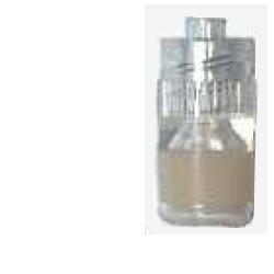 p b pharma srl tappo sterile perforato luer p b pharma