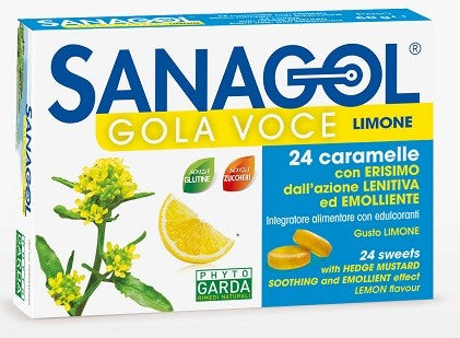 named sanagol gola voce senza zucchero limone 24 caramelle named ean 8051490300646