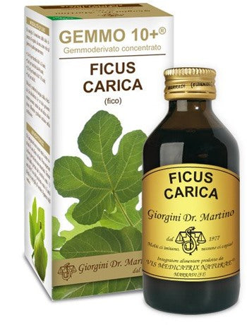 dr giorgini ser vis gemmo 10 fico liquido analcolico 100 ml giorgini ean 8051827613760