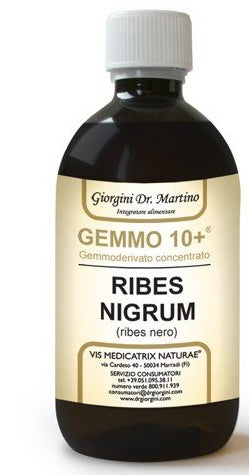 giorgini ser vis gemmo 10 ribes nero 500 ml liquido analcolico giorgini ean 8051827614149