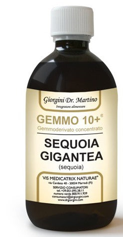 giorgini ser vis gemmo 10 sequoia 500 ml liquido analcolico giorgini ean 8051827614354