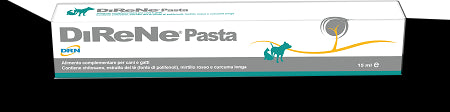 drn direne pasta 15 ml ean 8032644300880