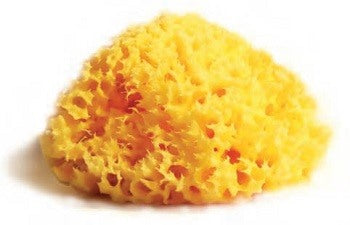 budetta farma spugna naturale mediterranea laboratori atenei 12 budetta farma