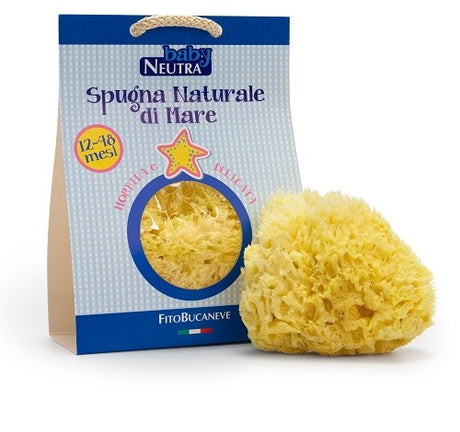 fitobucaneve baby neutra spugna naturale di mare 1248 mesi
