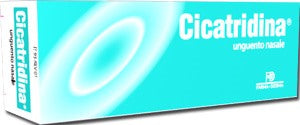 farma derma cicatridina unguento nasale 15 g cicatridina