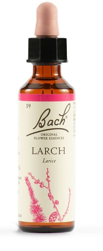 schwabe larch bach orig 20 ml schwabe pharma italia ean 5000488300376