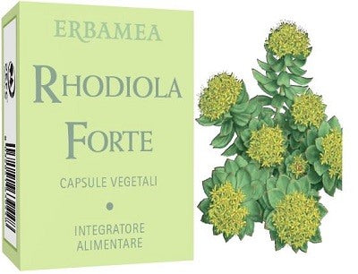 erbamea rhodiola forte 24 capsule ean 8032841639448