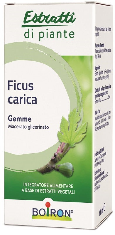 boiron specialita ficus carica boiron macerato glicerico 60 ml boiron ean 8052432890096