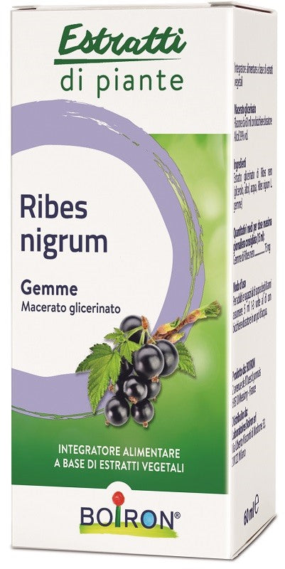 boiron ribes nigrum boiron macerato glicerico 60 ml boiron ean 8052432890119
