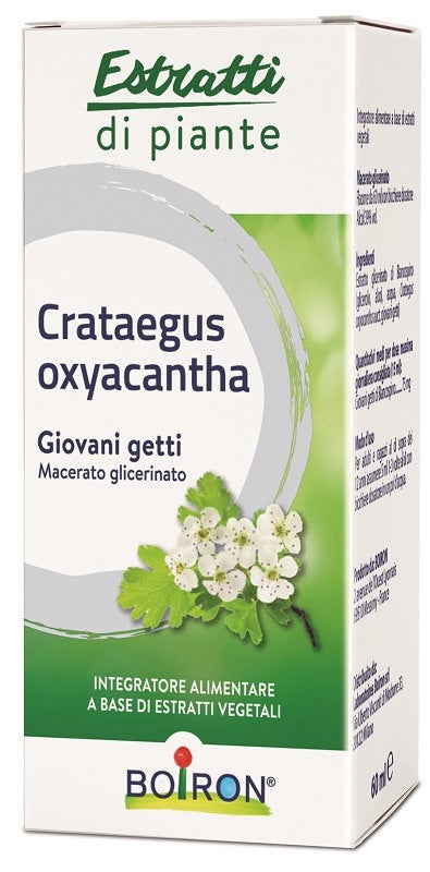 boiron crataegus boiron macerato glicerico 60 ml boiron ean 8052432890225