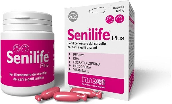 innovet italia senilife plus 30 capsule innovet ean 8021676021429