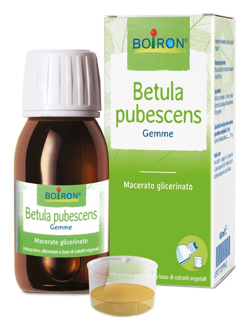 boiron betula pubesc boiron macerato glicerico 60 ml boiron ean 8052432890379