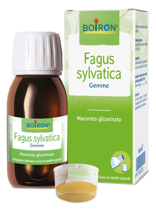 boiron fagus sylvatica boiron macerato glicerico 60 ml boiron ean 8052432890232