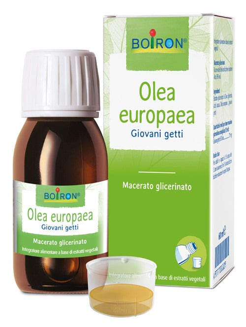 boiron olea europaea boiron macerato glicerico 60 ml boiron ean 8052432890263
