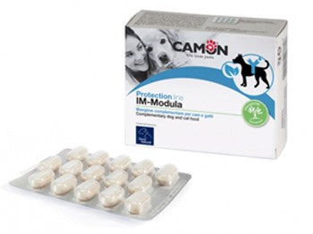 camon immodula 60 compresse camon ean 8019808150109