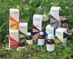 chemi raemil propoli composto 15 ml