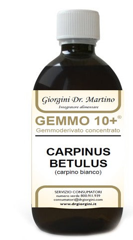 dr giorgini ser vis gemmo 10 carpino bianco 500 ml liquido analcolico giorgini ean 8051827613517