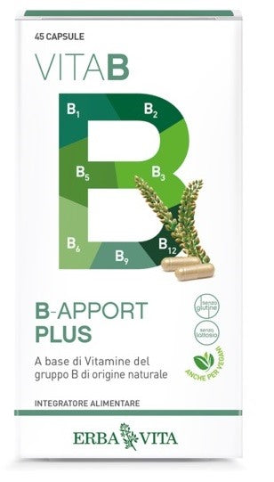 erba vita group b apport plus 45 capsule erba vita ean 0767787924355