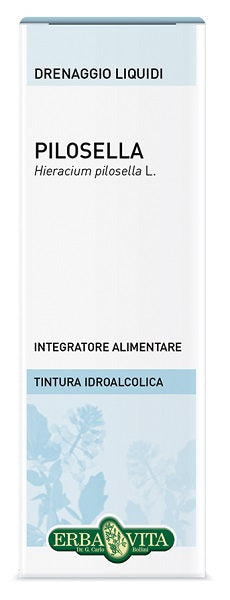 erba vita pilosella sommita soluzione idroalcolica 50 ml erba vita ean 0767787927110