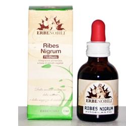 erbenobili fitoblasto ribes nigrum 50 ml erbenobili ean 8033831000439
