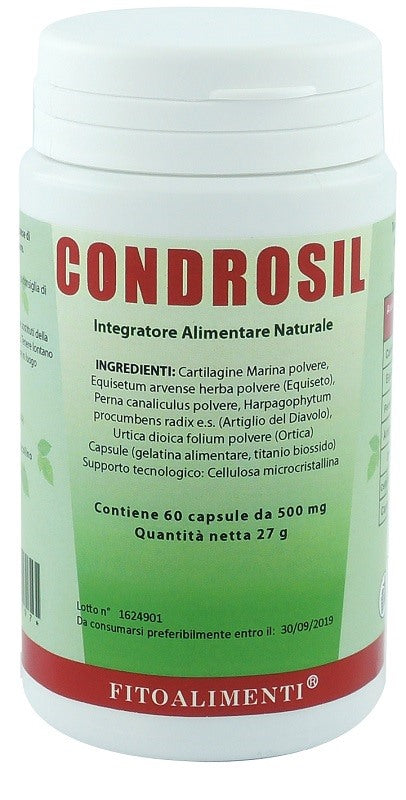euronatur group condrosil 60 capsule