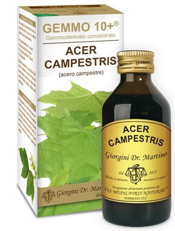 giorgini ser vis gemmo 10 acero campestre 100 ml liquido analcolico giorgini ean 8051827613289