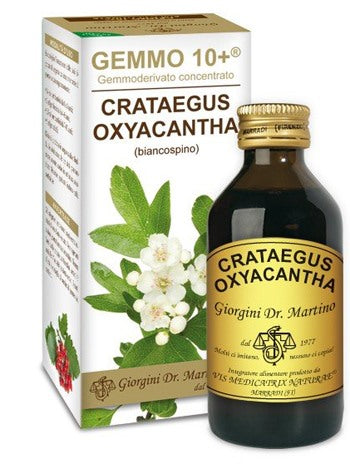 giorgini ser vis gemmo 10 biancospino liquido analcolico 100 ml giorgini ean 8051827613708