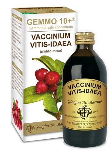 giorgini ser vis gemmo 10 mirtillo rosso liquido analcolico 200 ml giorgini ean 8051827614552