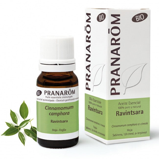 herbalgem italia pranarom ravintsara olio essenziale bio 10 ml pranarom ean 5420008516559