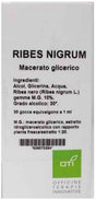 oti ribes nigrum macerato glicerico 10 gocce 100ml oti