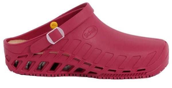 scholl shoes clog evo tpr scarpa unisex wine 4243 scholls ean 8004373505614