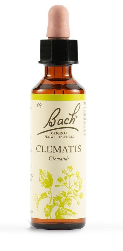 schwabe pharma italia clematis bach orig 20 ml schwabe pharma italia ean 5000488300277