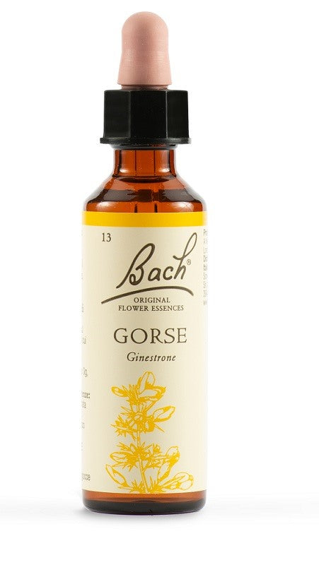 schwabe pharma italia gorse bach orig 20 ml schwabe pharma italia ean 5000488300314