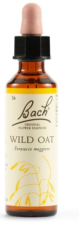 schwabe pharma italia wild oat bach orig 20 ml schwabe pharma italia ean 5000488300543