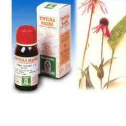 specchiasol echinacea 59 50ml tm specchiasol ean 8002738823427