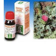 specchiasol named cardo mariano 6 50ml tm specchiasol ean 8002738820303