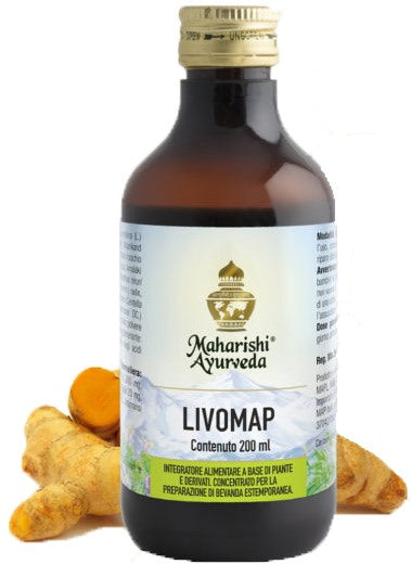 map italia livomap 200 ml