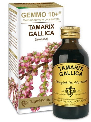 giorgini ser vis gemmo 10 tamerice 100 ml liquido analcolico giorgini ean 8051827614422