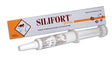 ddfarma silifort pasta os siringa 30 g silifort