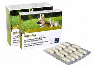 camon orme nat artosalus 60 compresse artosalus ean 8019808125923