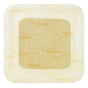 coloplast spa medicazione biatain adhesive p 10x10 cm 10 pezzi biatain ean 5701780270649