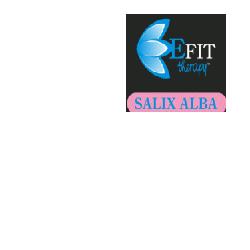 efit srl salix alba estratto fluido 30 ml ean 8033609010639
